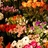 Profile Picture of Bill's Flower Market (@@BFM816) on Twitter