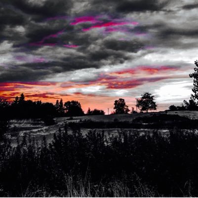 MusicandMore's profile picture. Music and More Performing and Visual Arts Center