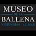 Museodelaballena (@MuseodelaBalle) Twitter profile photo