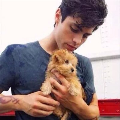 mattrpgspark's profile picture. 