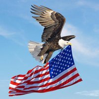 I Pledge Allegiance (@shabeau2) 's Twitter Profile