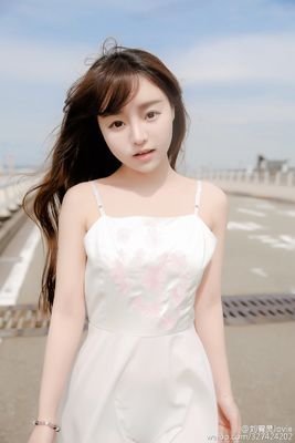 Liu you qi