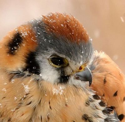 t_mmm111355's profile picture. 己の好きな企業垢とゲーム系を中心に好きを好きなだけ見る垢。時々呟く。