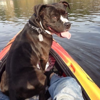 Bren_ElDuderino's profile picture. Strikes and gutters ups and downs.... The Dude abides- His Dudeness