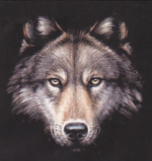 flippingdaddy's profile picture. 