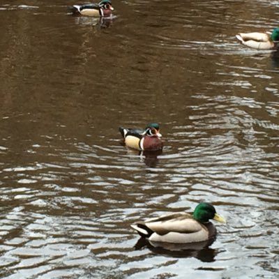 BOgmundson's profile picture. 