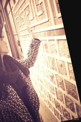 kasamelody's profile picture. お取引あかうんと💚
まいめろとけーぽっぷ
再度フルーツバスケットに沼った成人済みです