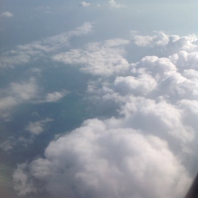 MindJargon's profile picture. Stories Worth Sharing