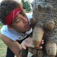 andy clemmensen (@andyclemmensen) 's Twitter Profile