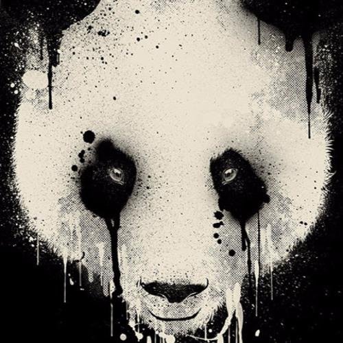 Mohamme627's profile picture. 