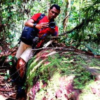 Sukma K (Dede) (@sukmadede) 's Twitter Profile