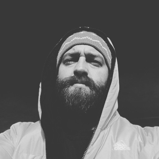 fignarlev's profile picture. Learn this, learn that! Designer Admiral at Next Ship.