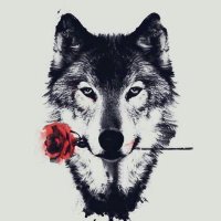 الـــمُــهـٓنْد (@d1_mer) 's Twitter Profile