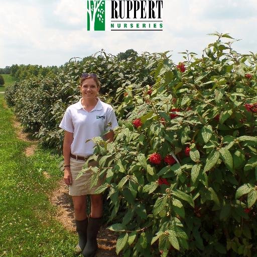 AshtreeM's profile picture. Inventory Manager - Ruppert Nurseries