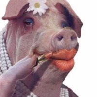 Loser Paypig (@rtfindompig) 's Twitter Profile