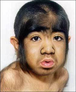 mikemclennan's profile picture. Effervescent, petit, cuddly are three words people don't use to describe me.