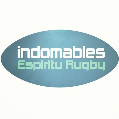 Empresa especializada en la personalización de ropa y material deportivo.
Specializing in customizing clothing.
0034 605212161 Info@indomables.eu