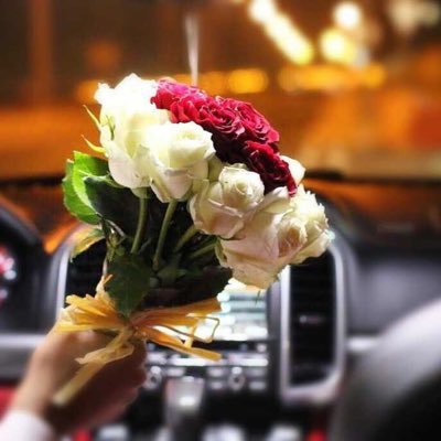 alambratoor16's profile picture. 