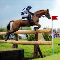 Laura Collett(@CollettEventing) 's Twitter Profileg