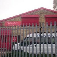 Peacock Film Studios 💙 (@peacock_film) 's Twitter Profile Photo