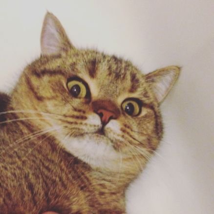 angelwxyz's profile picture. millenials amirite