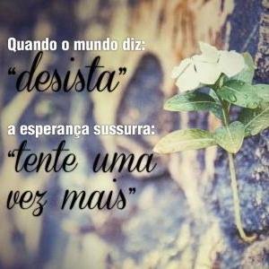 Tudo o que um sonho precisa para ser realizado é alguém que acredite que ele possa ser realizado.