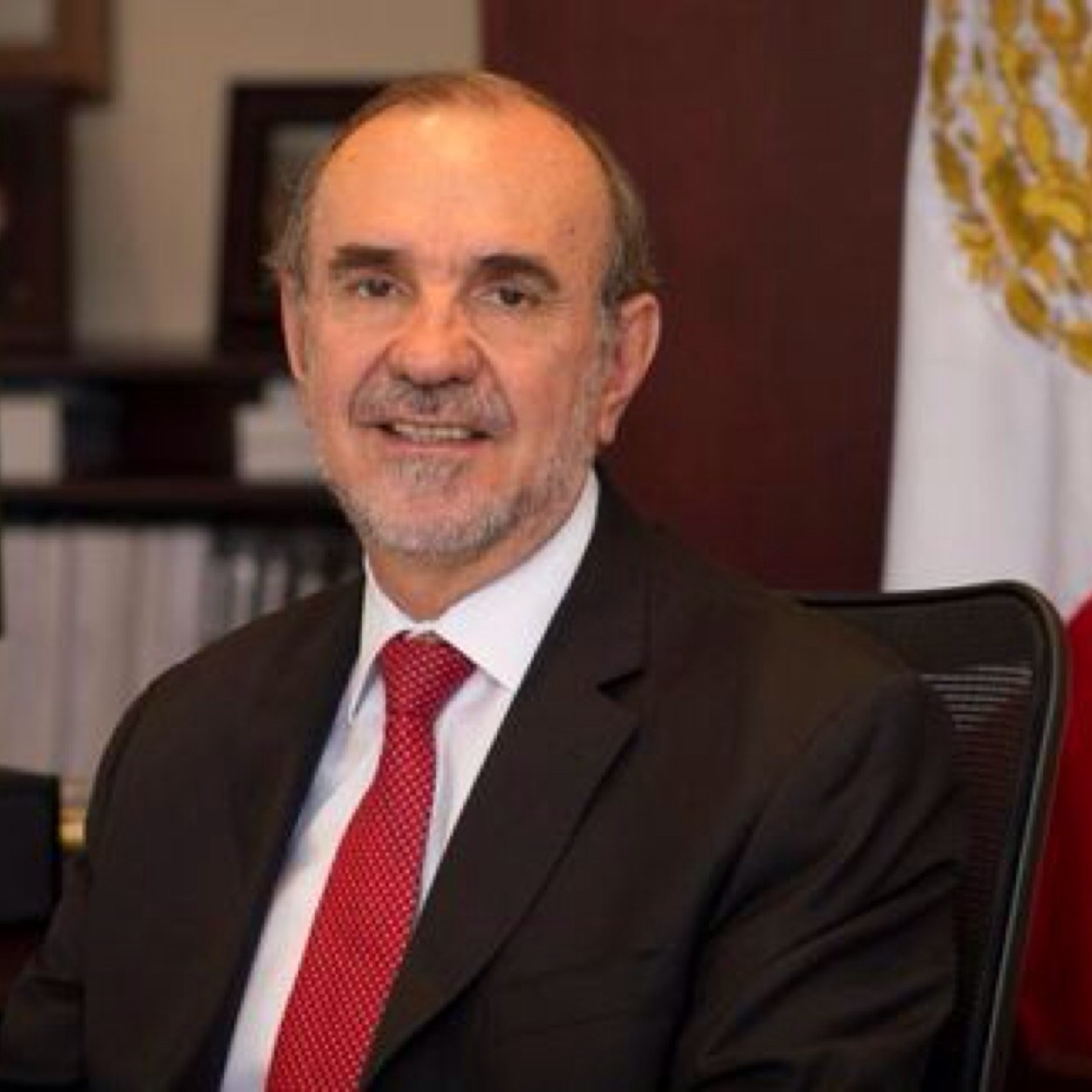 Subsecretario para América del Norte. Embajador en Estados Unidos. Cónsul General en Los Ángeles, Nueva York, Chicago, San Antonio y Toronto. Alcalde de Oaxaca
