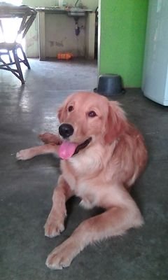 MiguelChajin3's profile picture. 