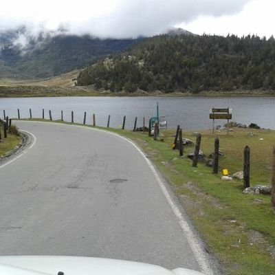 lideyadelvalle's profile picture. 