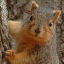 Seth Mueller - @the_sethaurus - Twitter