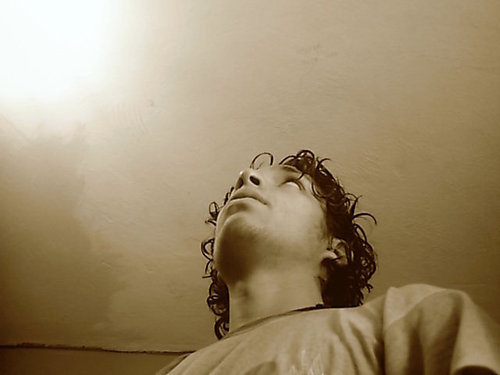 Free as a bird ♫