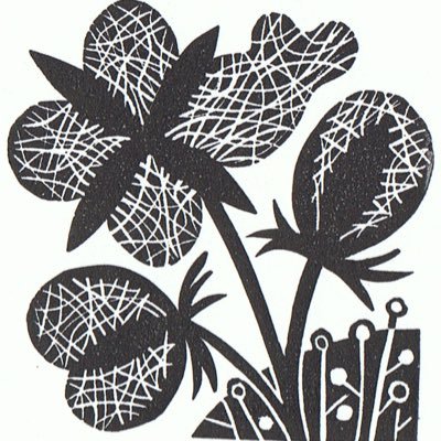 Printmaker, illustrator, designer and gardener.