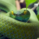 matilde moreno - @luzmoreno0107 - Twitter