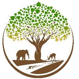 Track wild elephants, take guided walks through the forest, fish and swim in the Khwae Yai River, and learn about sustainable living at our eco-lodge.