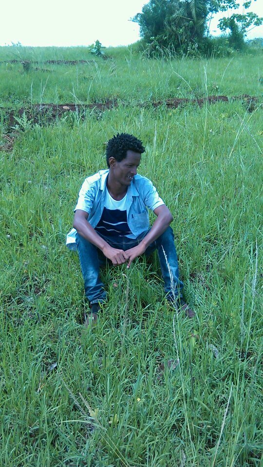 DubaKuma's profile picture. 