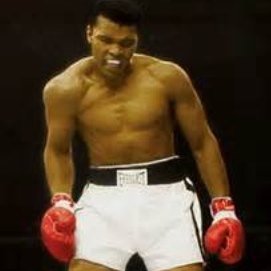 boxerlad's profile picture. Boxing. UFC.