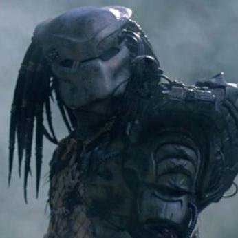 Tadjary's profile picture. 