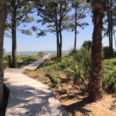 rad_johnny's profile picture. Life's a beach.