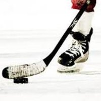 Solent hockey (@wightlinkb) 's Twitter Profile