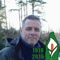 Phil Mac Giolla Bháin (@pmacgiollabhain) 's Twitter Profile