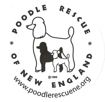 Saving the lives of poodles of all ages.