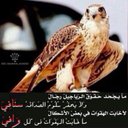 راشد بن صالح الصبيحي (@055_526) Twitter