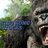 King Kong Stocks