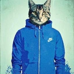 VANR29716754's profile picture. 