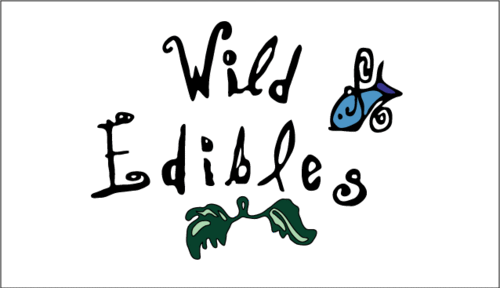 Wild Edibles Seafood