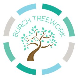 Tree Surgery, based Cambridge