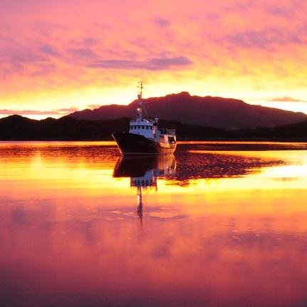 The Northern Light Cruising Co. Pioneers of Hebridean Wildlife and Island cruises (est 1995) aboard Hjalmar Bjorge, the St Kilda & North Rona connection.