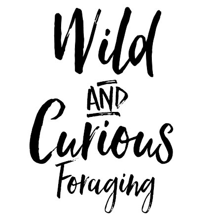 Lover of wild spaces, wild play & wild edible plants. Foraging teacher.. Maker of wild snacks & treats. Plant talker, walker & vegetative stalker.