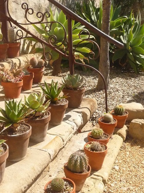 wolleyssim's profile picture. 