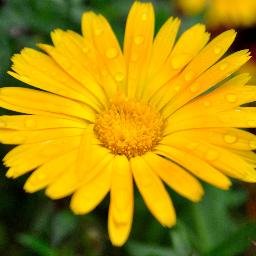 ElenaFaynoknit's profile picture. #handmade #etsyseller